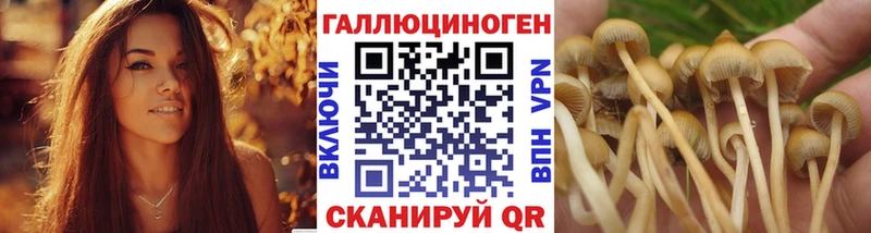 гидра как зайти  Юрюзань  Галлюциногенные грибы MAGIC MUSHROOMS  наркота 